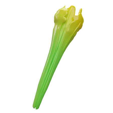 Rhubarb  3D Icon