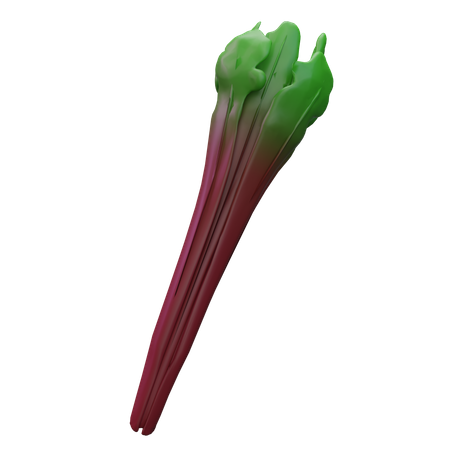 Rhubarb  3D Icon