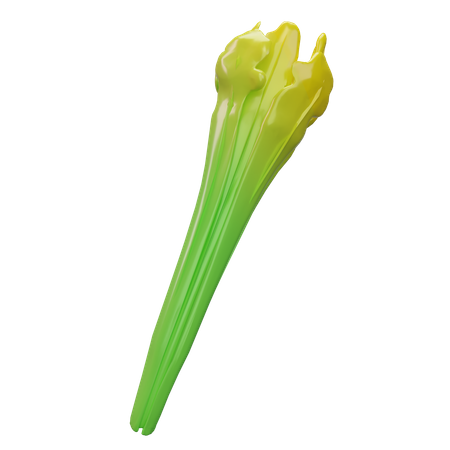 Rhubarb  3D Icon