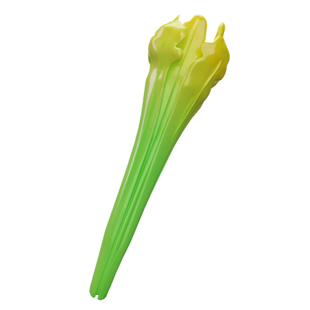 Rhubarbe  3D Icon