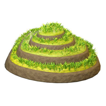 Rice Field  3D Icon