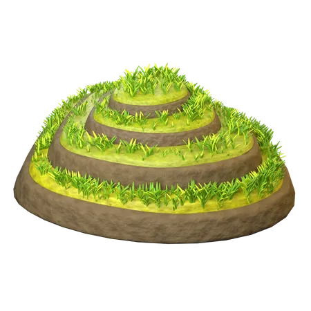 Rice Field  3D Icon