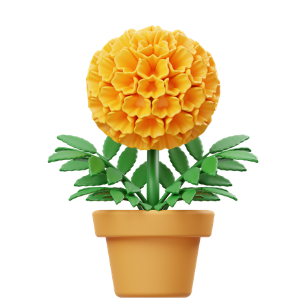 Ringelblumen-Blumentopf  3D Icon