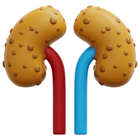 Riñón  3D Icon
