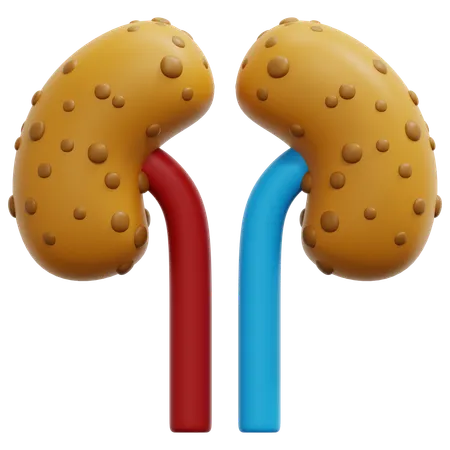 Riñón  3D Icon