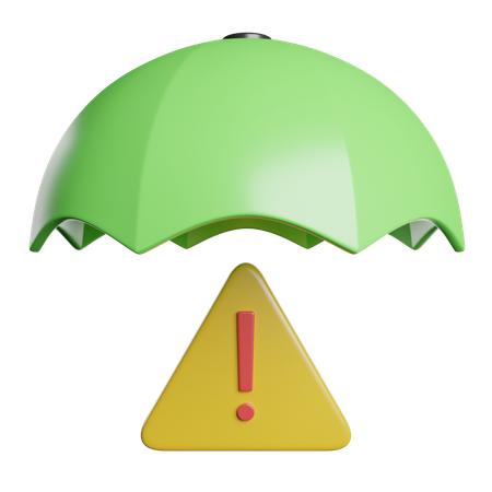 Risk Management  3D Icon
