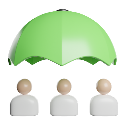 Risk Management  3D Icon