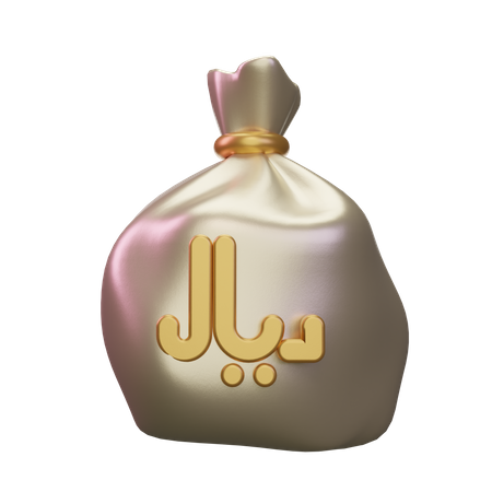 Sac d'argent riyal  3D Icon