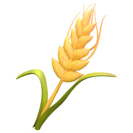 Riz simple  3D Icon
