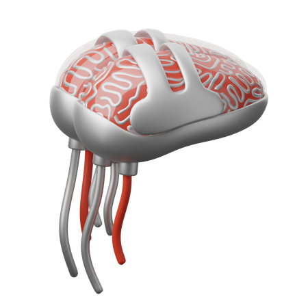 Robotic Brain  3D Icon