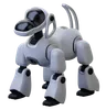 Robotic Dog