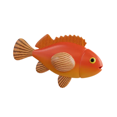 Rock Fish  3D Icon