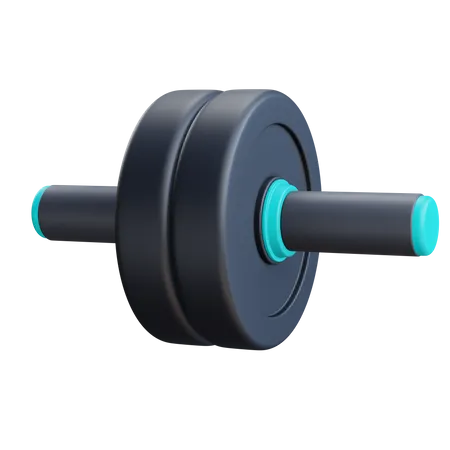 Roda abdominal  3D Icon