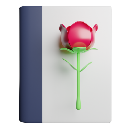 Livre de roman  3D Icon