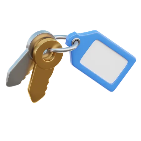 Room Key  3D Icon