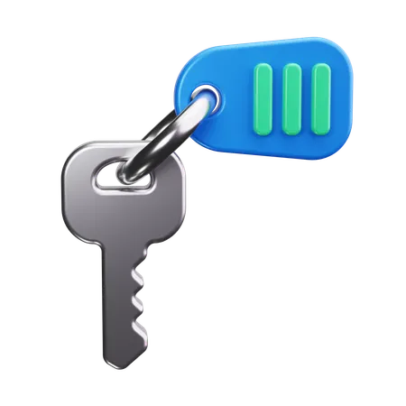 Room Key  3D Icon