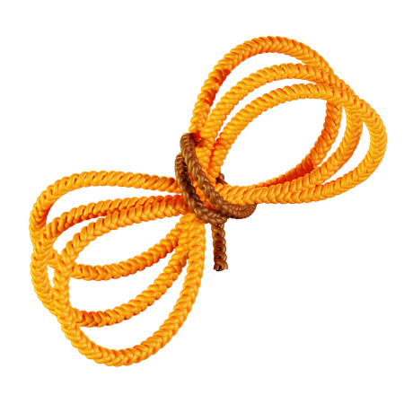 Rope  3D Icon