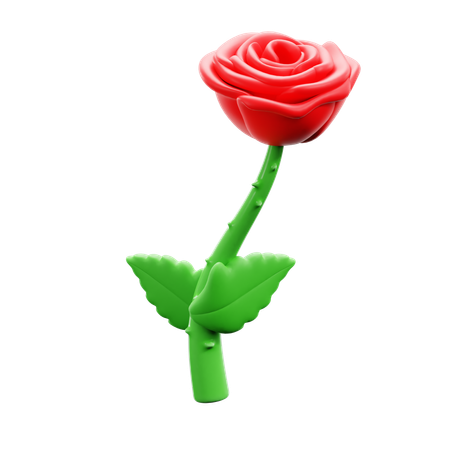 Rosa  3D Icon