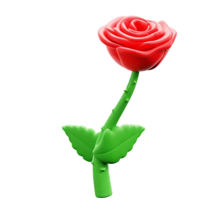 Rosa  3D Icon