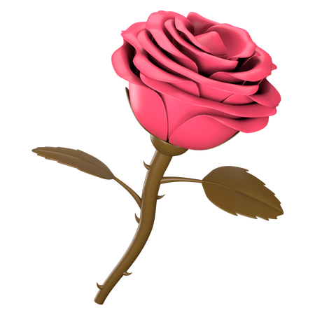 Rosa  3D Icon