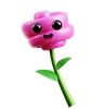 rosa