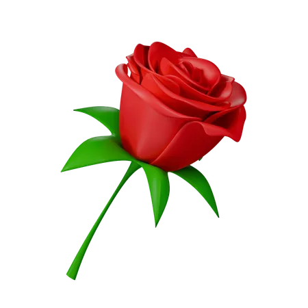 Rosa  3D Icon