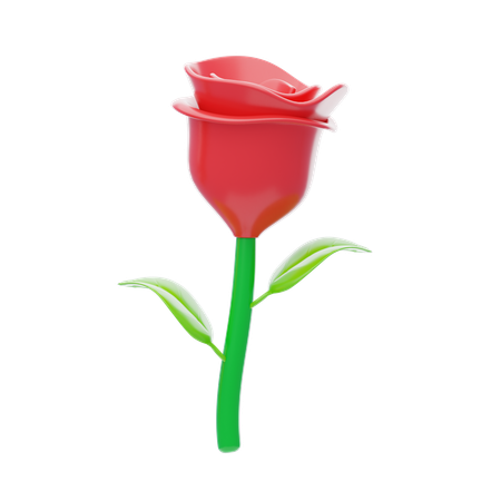 Rosa  3D Icon