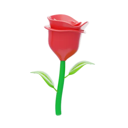 Rosa  3D Icon