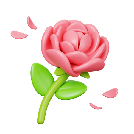 Rosa  3D Icon