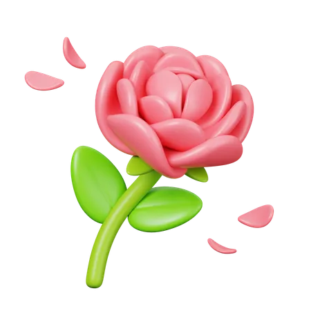 Rosa  3D Icon