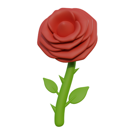 Rosa  3D Icon