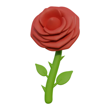 Rosa  3D Icon