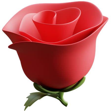 Rosa  3D Icon