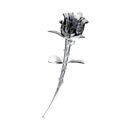 Rosa  3D Icon