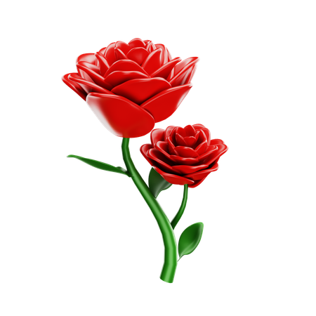 Rosa  3D Icon