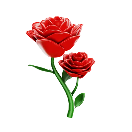 Rosa  3D Icon