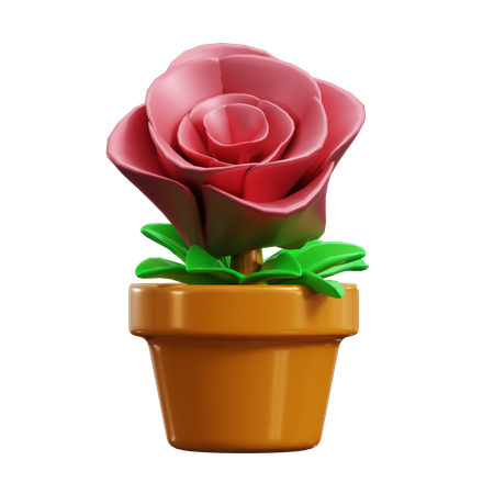 Rosa  3D Icon