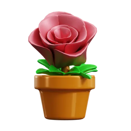 Rosa  3D Icon