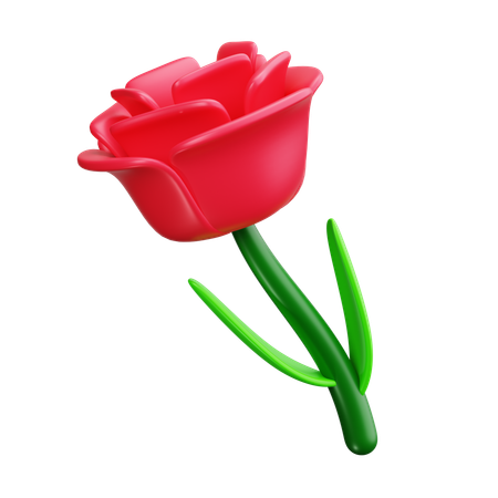 Rosa  3D Icon