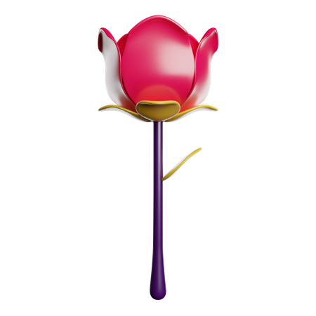 Rosa  3D Icon