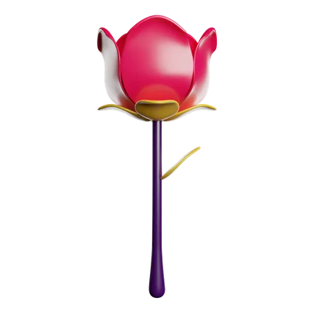 Rosa  3D Icon