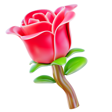 Rosa  3D Icon