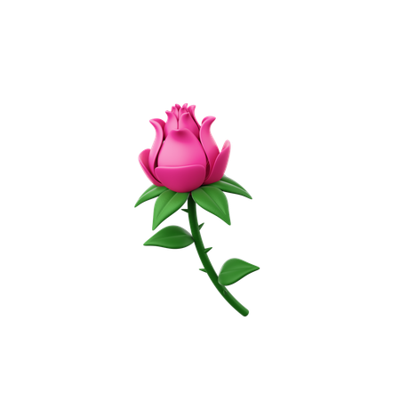 Rosa  3D Icon