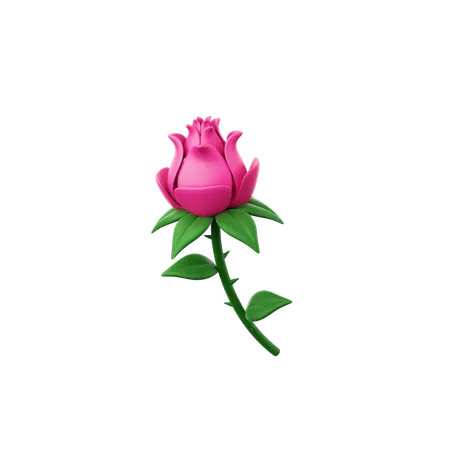 Rosa  3D Icon