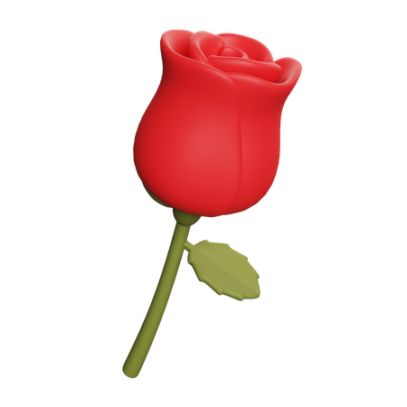 Rosa  3D Icon