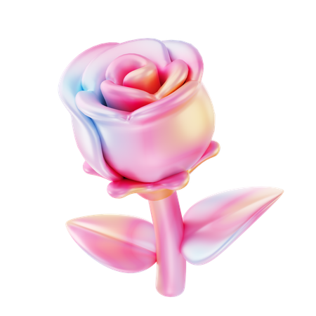 Rosa  3D Icon