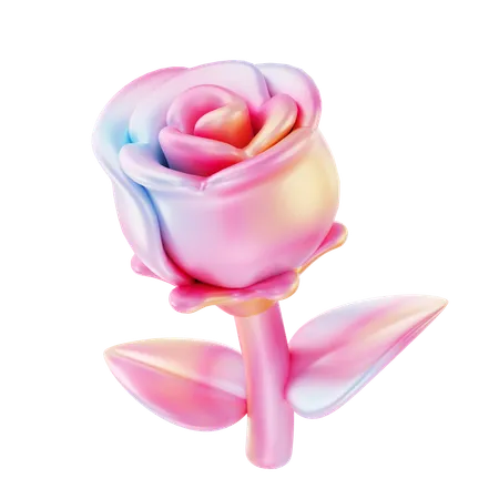 Rosa  3D Icon