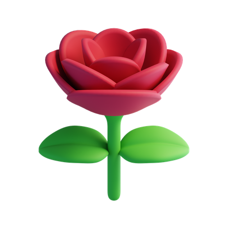 Rosa  3D Icon