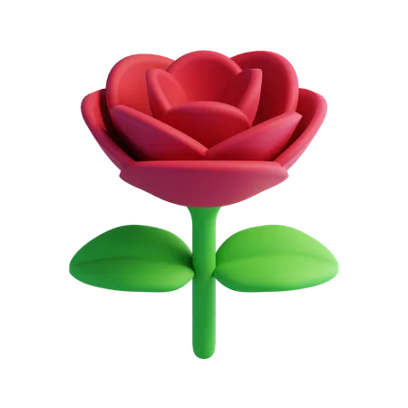 Rosa  3D Icon