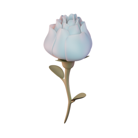 Rosa  3D Illustration